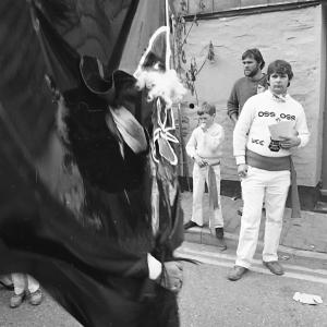 Old Oss on road in distorted upright position