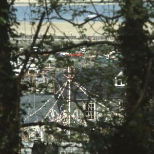 Aerial view of maypole through trees