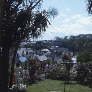 Old Oss procession walking through garden