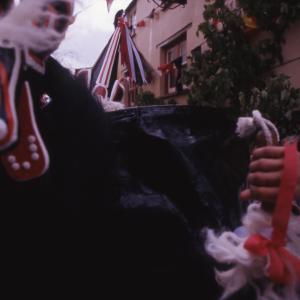 Old Oss snappers close up in street