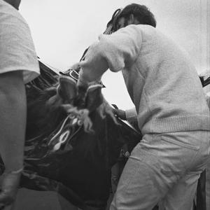 Old Oss changing rider