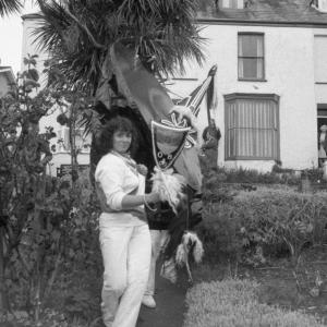 old oss teaser in garden