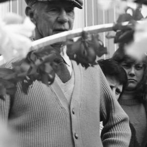 close up of man, helping with putting up maypole