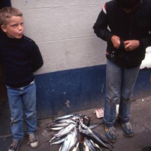 Boys with pile of mackerel