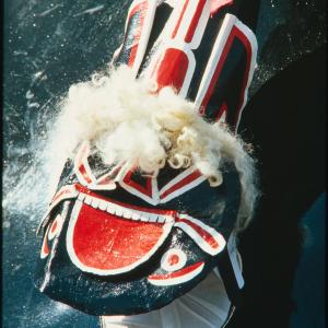 Old Oss in sunlight close up