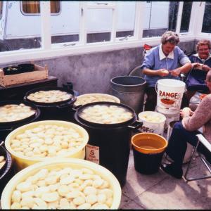 Peeling and boiling potatoes