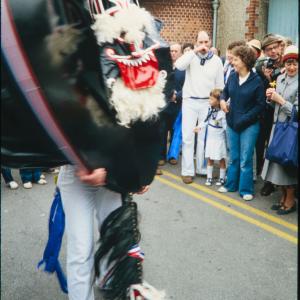 Blue Ribbon oss dancing on road