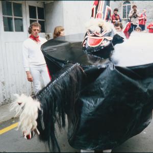 Old Oss with mane