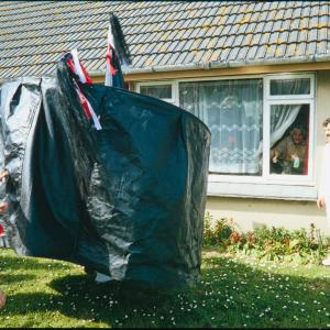 Old Oss on front lawn of someone's house, with woman looking out through window