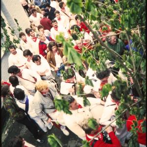 Old Oss procession, obscured by branch
