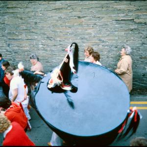 Old Oss walking along road with locals