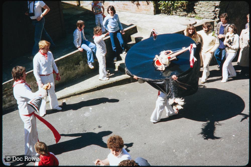 Old Oss being teased in yard